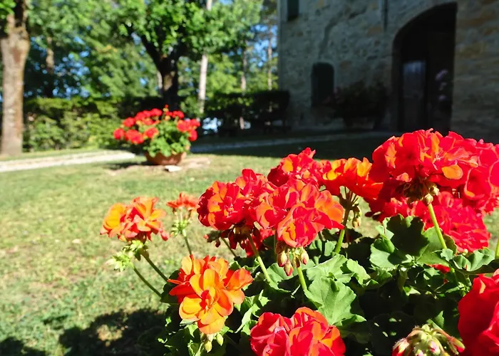 Cortebonomini Daire *